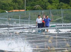 目于2024岁尾如期实现全容量并网发电